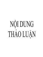 NỘI DUNG THẢO LUẬN QUẢN TRỊ học