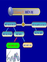 Giáo án bồi dưỡng Sinh học 9 Tiết 21 Đột biến gen tham khảo