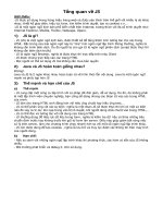 Tổng quan về Javascript