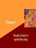chương 3 thuyết về hành vi người tiêu dùng