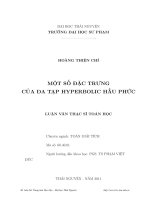 Một số đặc trưng của đa tạp hyperbolic hầu phức