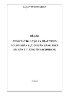 Luận văn tốt nghiệp Đề tài công tác đào tạo và phát triển nguồn nhân lực ở ngân hàng TMCP Sài Gòn Thương Tín SACOMBANK