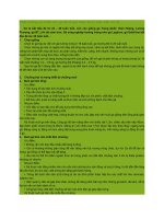 Nuôi dưỡng và chăm sóc gà đẻ