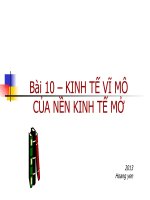 bài 10 kinh tế vĩ mô của nền kinh tế mở