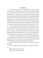 Khóa luận: Tài chính và một số kết quả hoạt động của Ngân hàng Việt Nam Thịnh Vượng - Chi nhánh Thăng Long