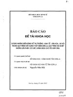 Dự báo biến động về thị trường kinh tế văn hoá, xã hội trong quá trình xây dựng thuỷ điện sơn la, quá trình hội nhập, những giải pháp cơ chế, chính sách đáp ứng