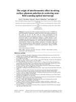 the origin of interferometric effect involving surface plasmon polariton in scattering nearfield scanning optical microscopy