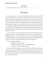 PHÂN HỆ ĐA  PHƯƠNG TIỆN IMS
