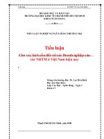 tiểu luận nghiệp vụ ngân hàng thương mại cho vay kích cầu đối với các doanh nghiệp của các nhtm hiện nay