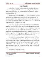 thực trạng công tác nguyên  vật liệu tại công ty cổ phần xây lắp và sản xuất vật liệu xây dựng hà khẩu