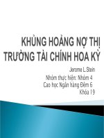 Thuyết trình: Khủng khoảng nợ trên thị trường tài chính Hoa Kỳ