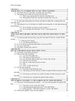 kết quả mô phỏng bằng phần mềm ansys