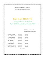 chương trình khảo sát   thực tập thực tế tuyếntp hồ chí minh   đồng nai   bà rịa   vũng tàu   tp hồ chí minh