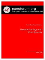 nanotechnology and civil security