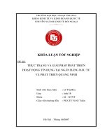 Khóa luận tốt nghiệp: Thực trạng và giải pháp phát triển hoạt động tín dụng tại Ngân hàng Đầu tư và phát triển Quảng Ninh