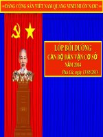 CÔNG tác vận ĐỘNG tín đồ, CHƯC sắc tôn GIÁO HIỆN NAY