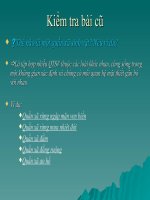 Giáo án tham khảo bồi dưỡng Tiết 52 Hệ sinh thái