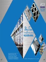 Catalogue cọc ván thép