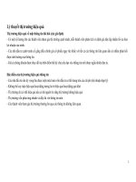 Lý thuyết thị trường hiệu quả