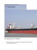 CÁC LOẠI PHƯƠNG TIỆN vận tải THỦY