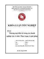 Thương mại điện tử trong các doanh nghiệp vừa và nhỏ thực trạng và giải pháp