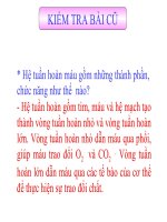 Giáo án bồi dưỡng Tiết 17 Tim và mạch máu - Giáo án sinh học 8 tham khảo