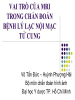vai trò của mri trong chẩn đoán bệnh lý lạc nội mạc tử cung
