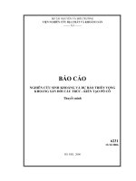 Nghiên cứu sinh khoáng và dự báo triển vọng khoáng sản đới cấu trúc kiến tạo pô cô