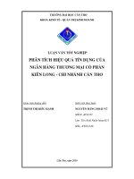Phân tích hiệu quả tín dụng của ngân hàng thương mại cổ phần Kiên Long chi nhánh Cần thơ