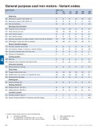 General purpose cast iron motors