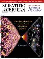scientific american   -  1999 01  -  revolution in cosmology