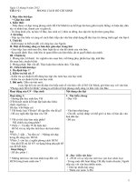 Giáo án môn Ngữ Văn 9