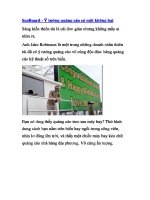 SeaBoard - Ý tưởng quảng cáo có một không hai