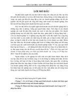 phân tích hiệu quả kinh doanh và biện pháp nâng cao hiệu quả kinh doanh tại công ty cp thép sao biển