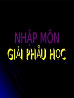 nhập môn giải phẫu học