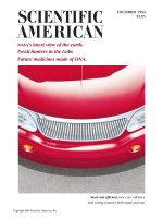 scientific american   -  1994 12  -  nasa's latest view of the earth