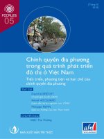 Chính quyền địa phương trong việc phát triển đô thị ở Việt Nam