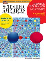 scientific american   -  1999 04  -  endless space (maybe not)
