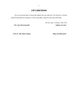 Nghiên cứu cơ chế phá hủy phôi trong quá trình cán nêm ngang