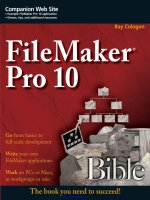 filemaker pro 10 bible