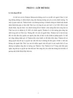 Tiểu luận quyền hạn và quyền lực của Thaksin
