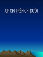 bài giảng gp chi trên chi dưới