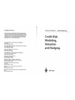 derivatives  -  credit risk  -  modeling, valuation & hedging - bielecki