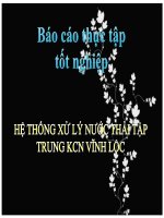 BÁO CÁO THỰC TẬP TỐT NGHIỆP HỆ THỐNG XỬ LÝ NƯỚC THẢI TẬP TRUNG KHU CÔNG NGHIỆP VĨNH LỘC