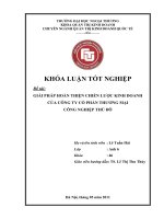 Khóa luận tốt nghiệp : Đề tài Giải pháp hoàn thiện chiến lược kinh doanh của công ty cổ phần thương mại công nghiệp thủ đô