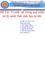 xử lý nước thải bằng vi sinh vật kị khi