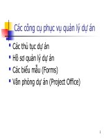 Các công cụ phục vụ quản lý dự án