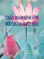 chẩn đoán hình ảnh hội chứng mạch máu
