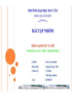 Bài tập nhóm kinh tế vi mô  cấu trúc thị trường