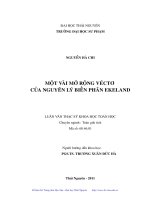 Một vài mở rộng véctơ của nguyên lý biến phân ekeland